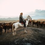 Essential Skills for Managing Life's Unexpected Challenges