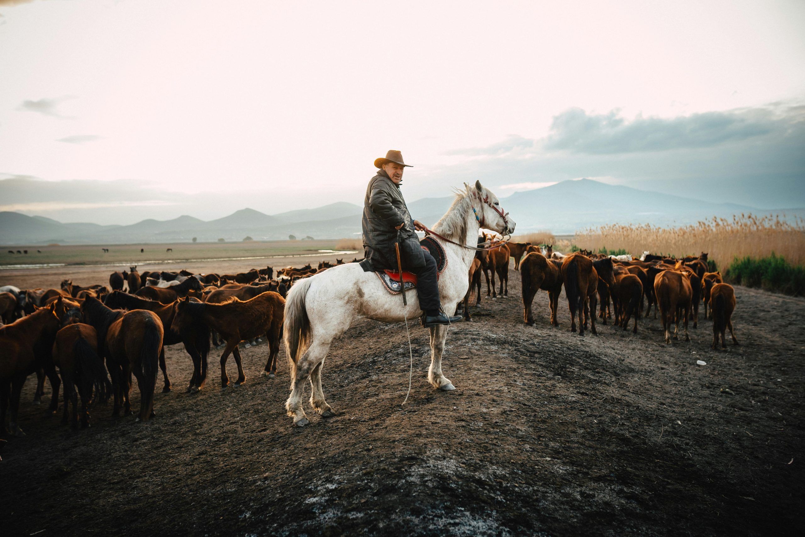 Essential Skills for Managing Life's Unexpected Challenges