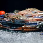 Fresh Seafood Delicacies from Around the World
