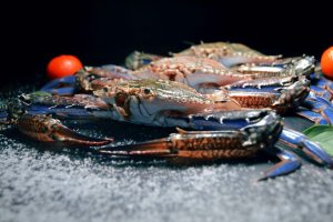 Fresh Seafood Delicacies from Around the World