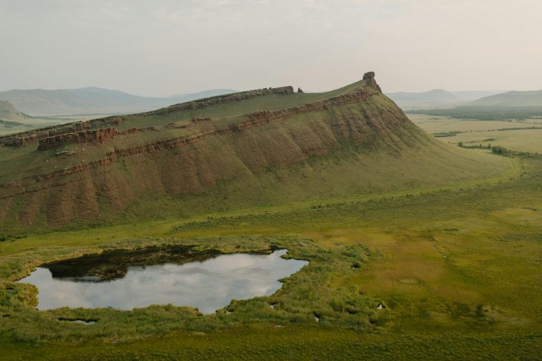 Remote Diagnostics Software Transforming Field Services