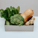 Sustainable Materials: Vegan Leather and Beyond