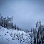 Latest Convertible Tops: Weatherproof and Quiet