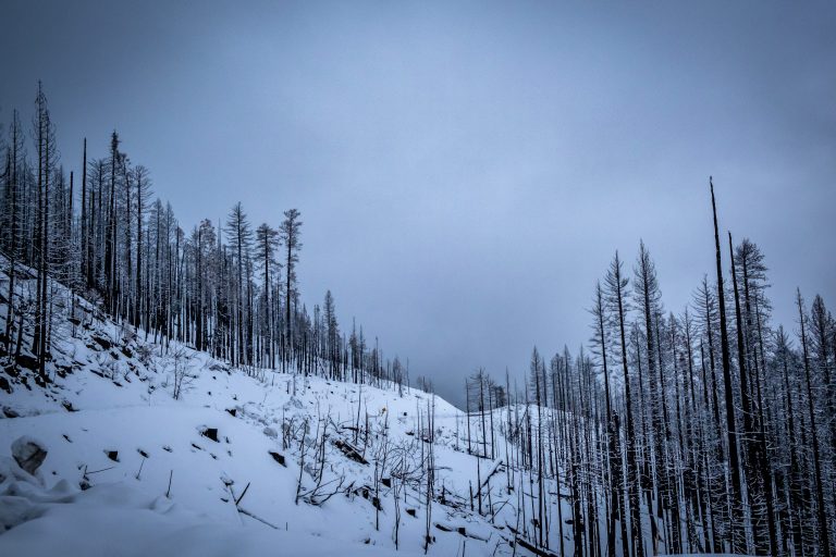 Latest Convertible Tops: Weatherproof and Quiet